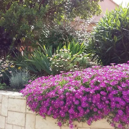 Au Calme Proche Mer Et Montagne T2 De 50 M² *