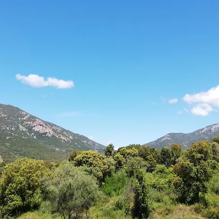 Au Calme Proche Mer Et Montagne T2 De 50 M² Διαμέρισμα Eccica-Suarella (Corsica)